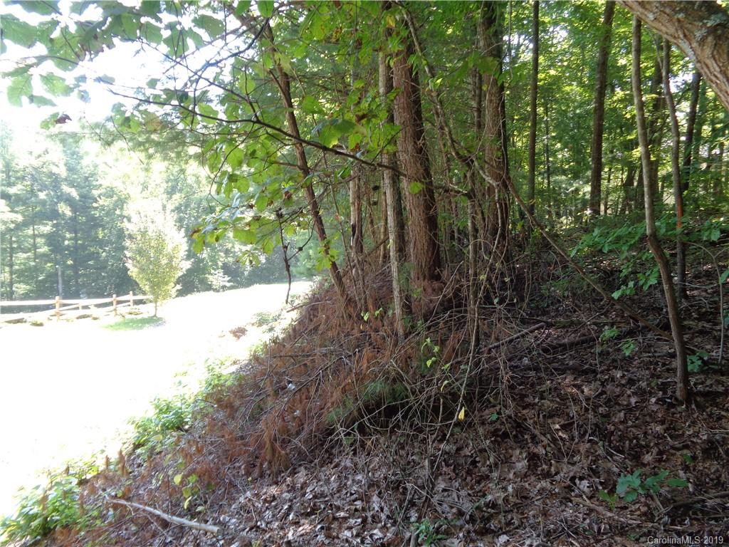 51 Morning Star Drive Leicester NC 28748