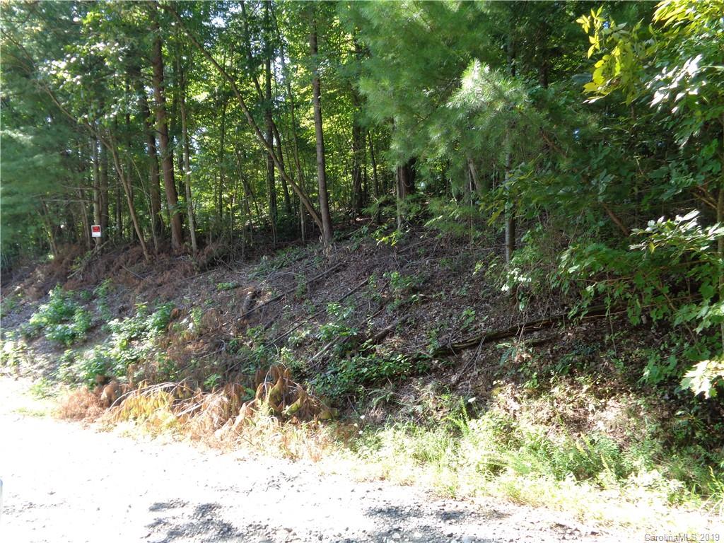 51 Morning Star Drive Leicester NC 28748
