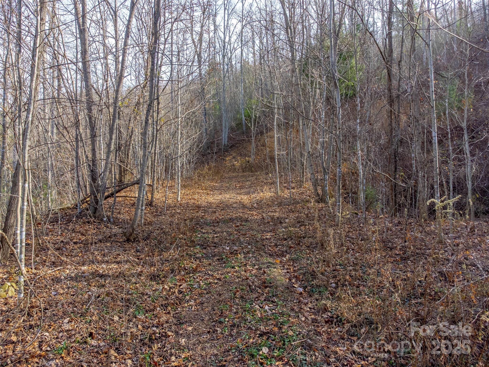 00 Garnet Road Sylva NC 28779