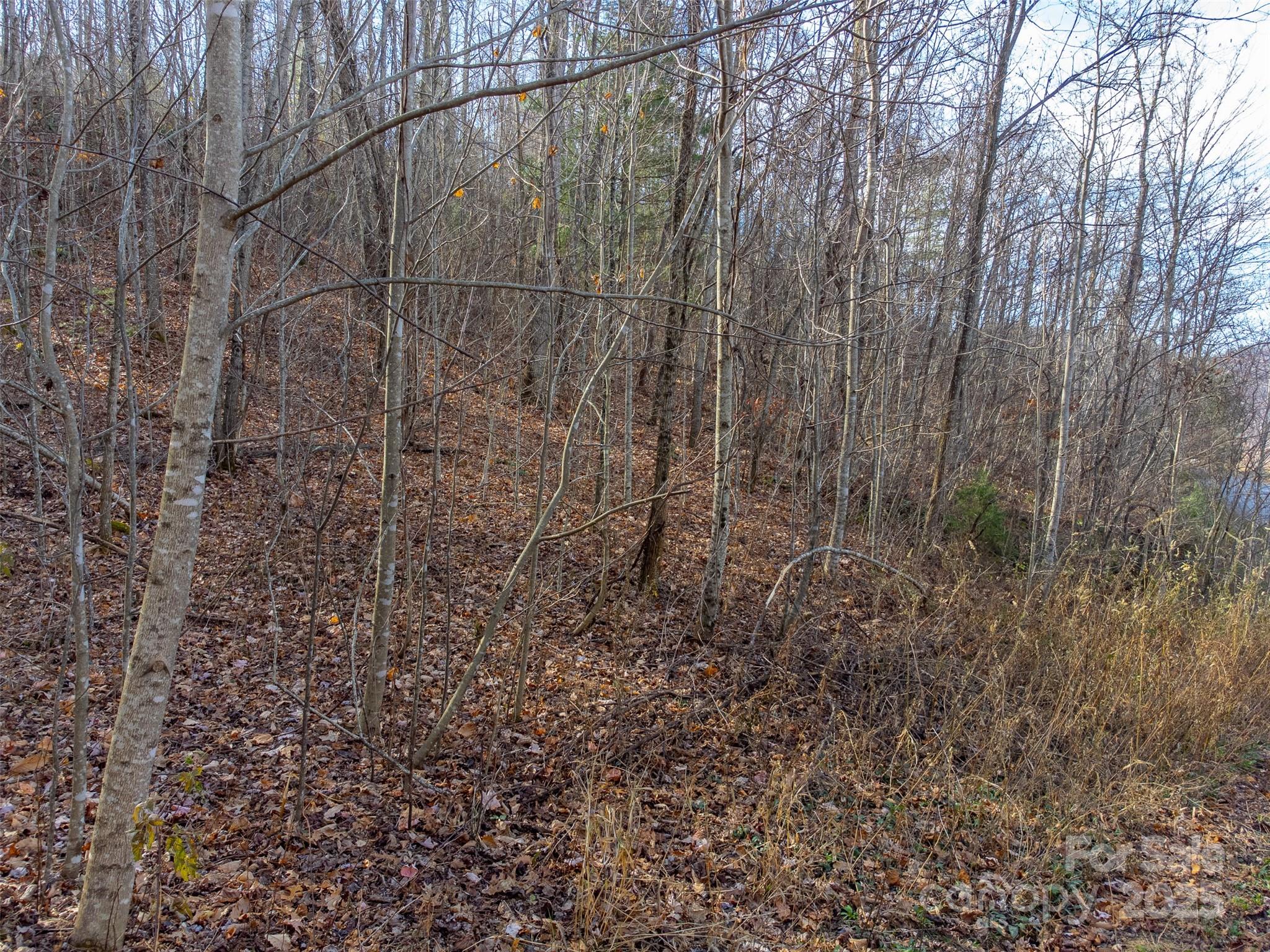 00 Garnet Road Sylva NC 28779