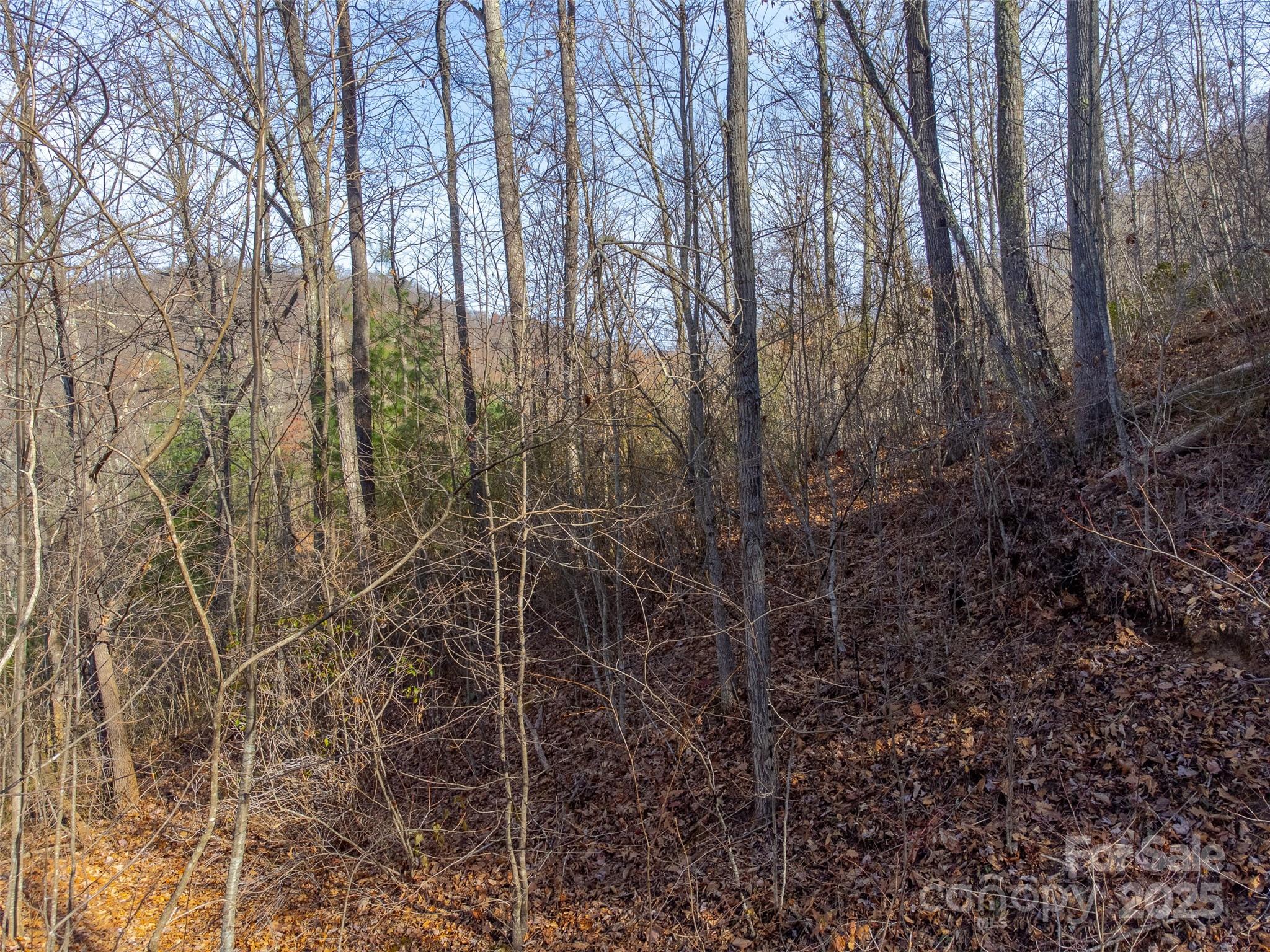 00 Garnet Road Sylva NC 28779