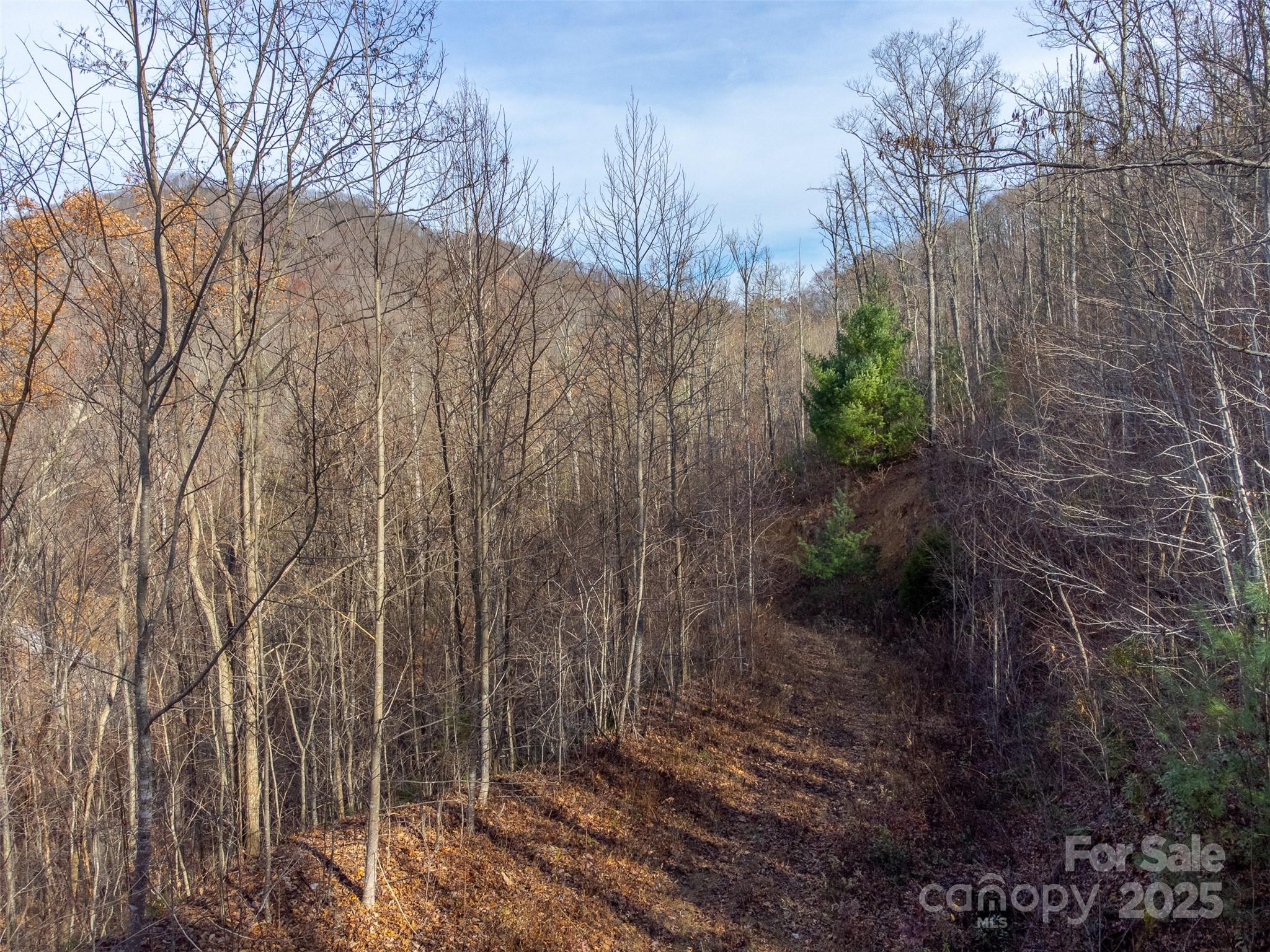 00 Garnet Road Sylva NC 28779