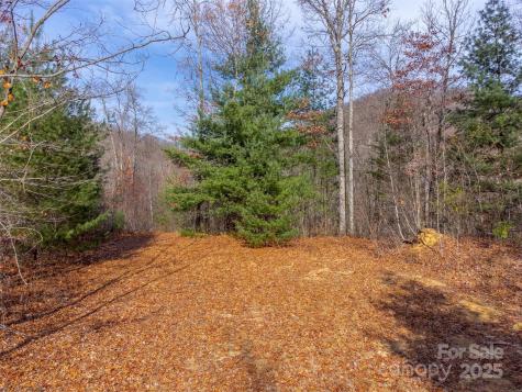 00 Garnet Road Sylva NC 28779