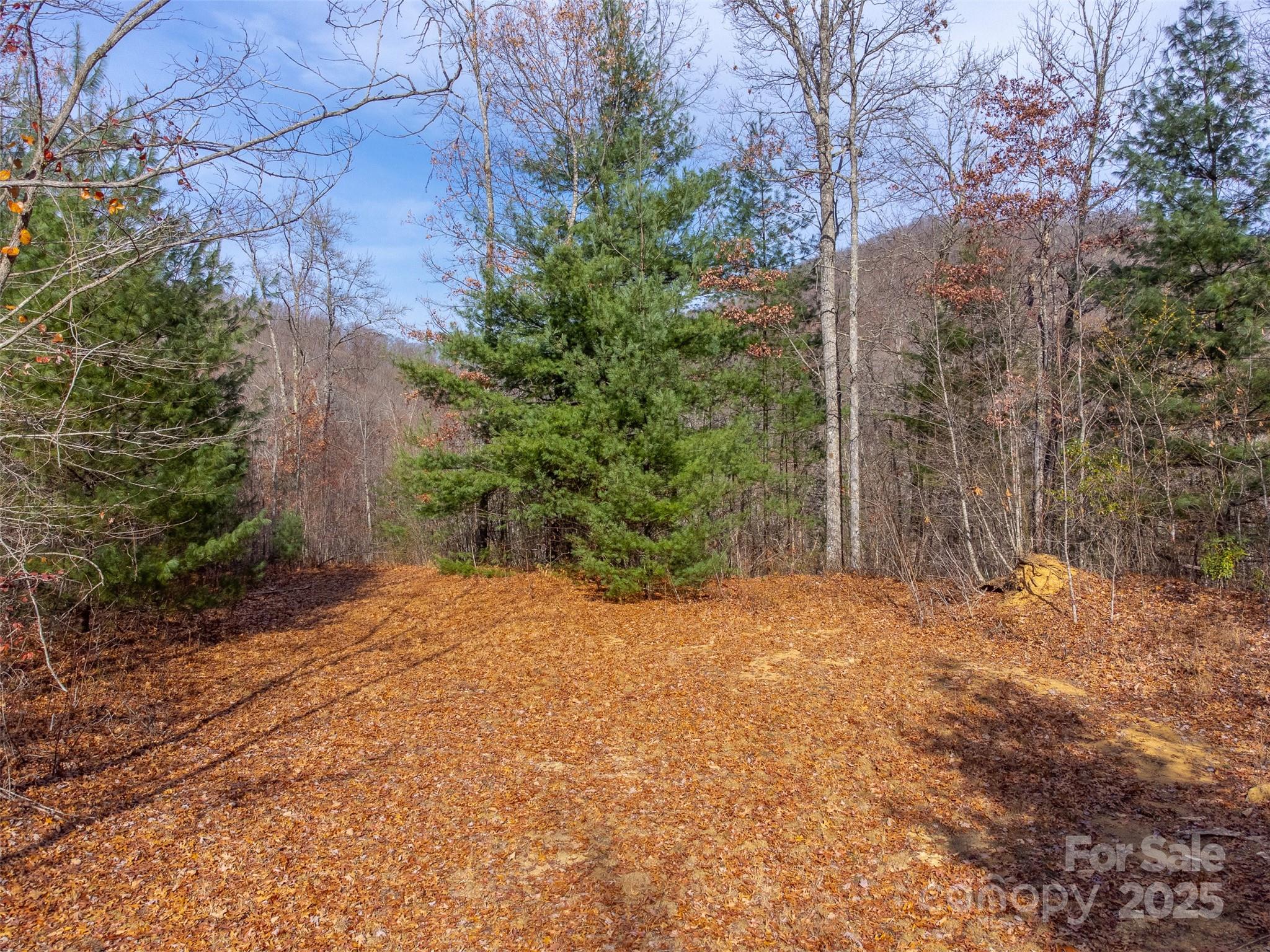 00 Garnet Road Sylva NC 28779