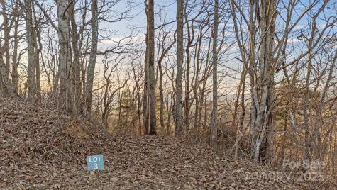 Tbd Eagles Eye Drive Hendersonville NC 28792