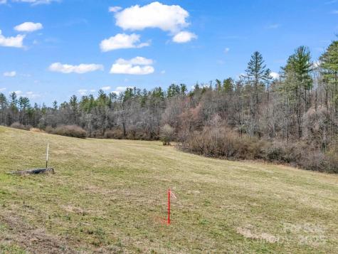 9999 Settlers Trail Mars Hill NC 28754