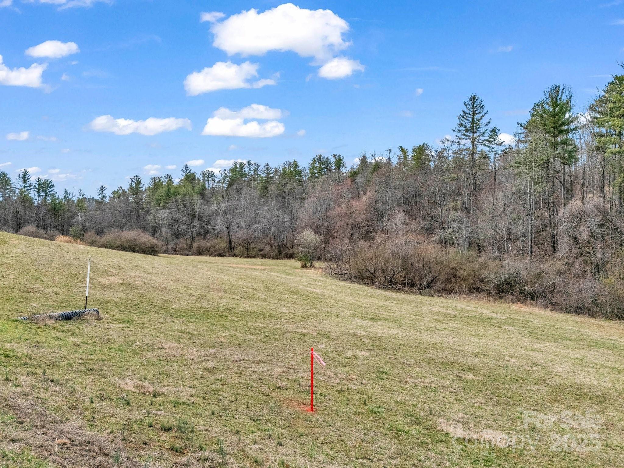 9999 Settlers Trail Mars Hill NC 28754