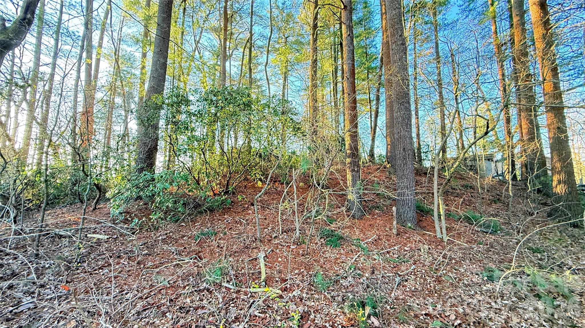 00 Toms Park Circle Hendersonville NC 28792