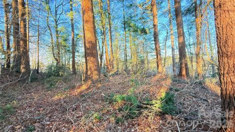 00 Toms Park Circle Hendersonville NC 28792
