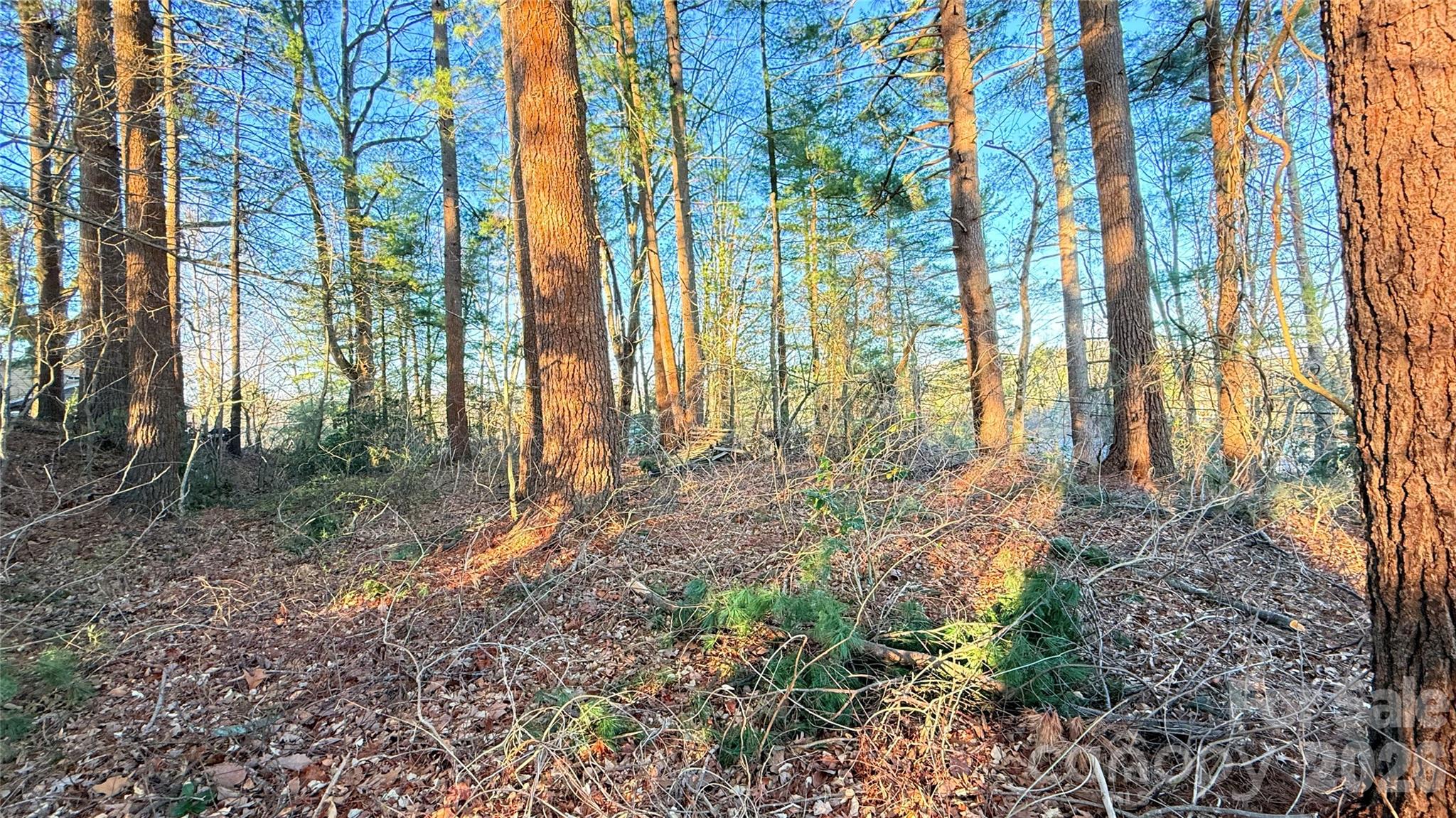 00 Toms Park Circle Hendersonville NC 28792