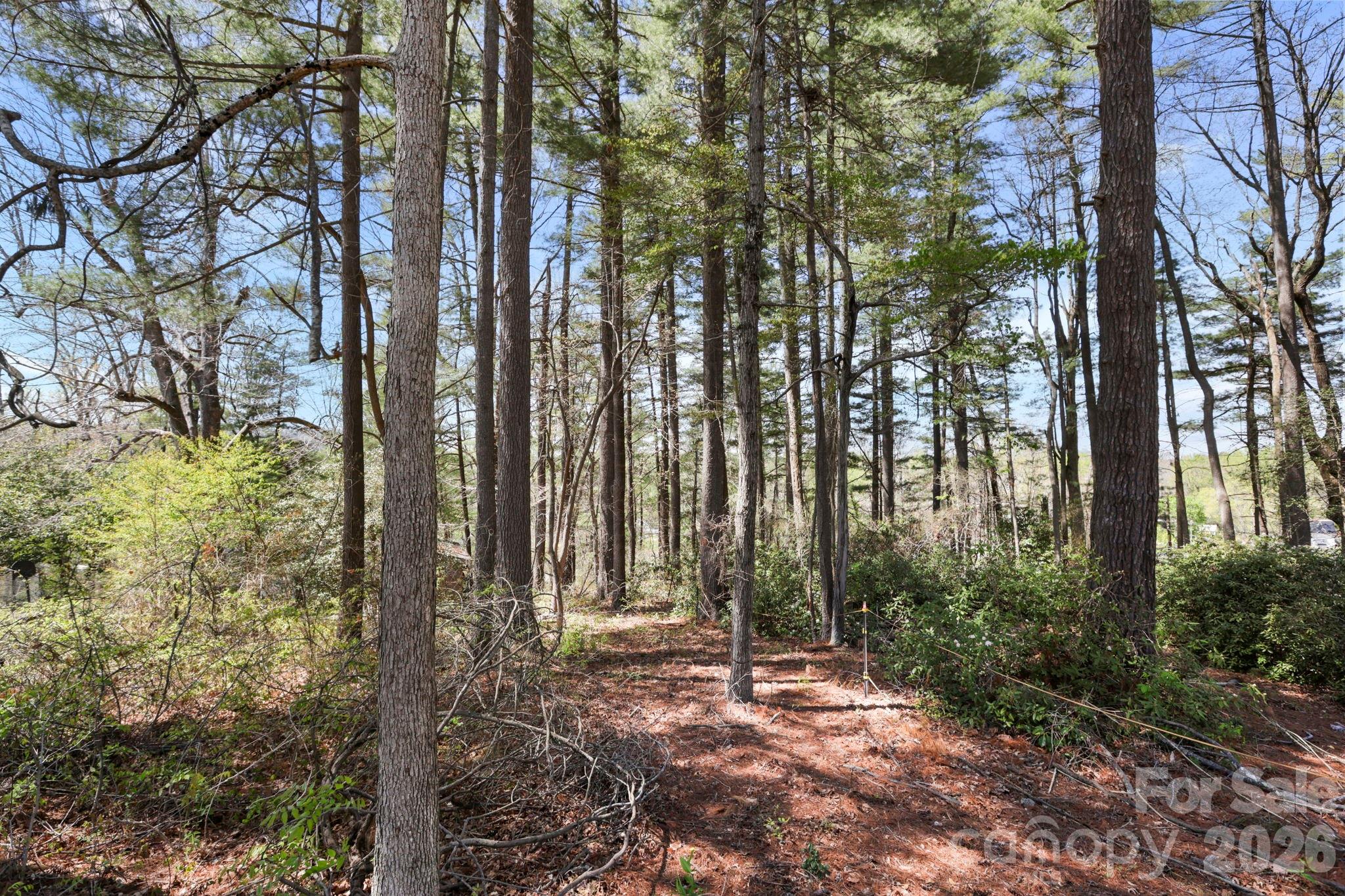 00 Toms Park Circle Hendersonville NC 28792