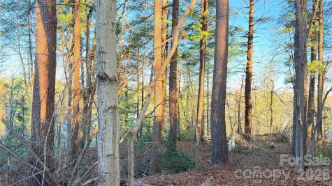 00 Toms Park Circle Hendersonville NC 28792