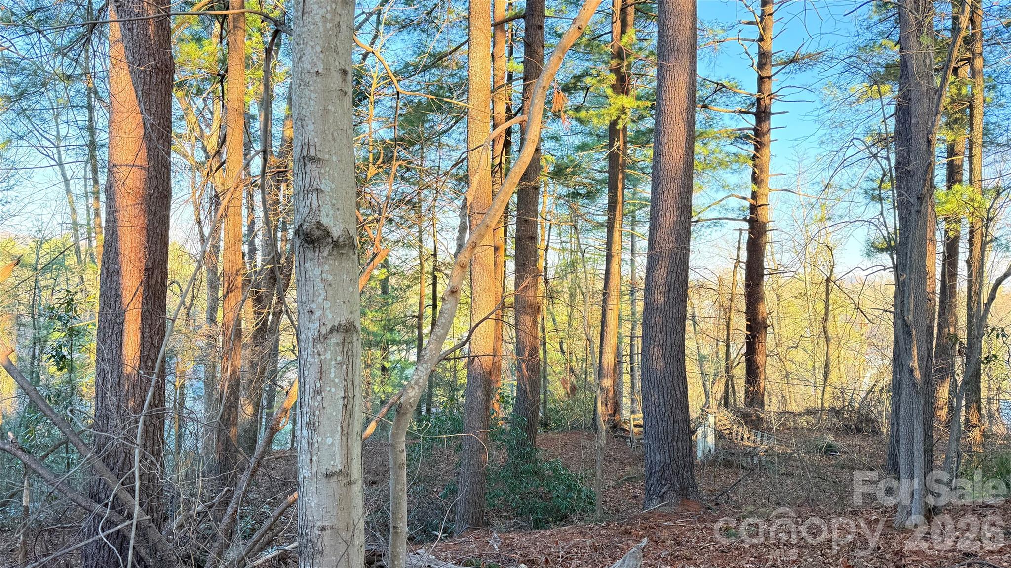 00 Toms Park Circle Hendersonville NC 28792