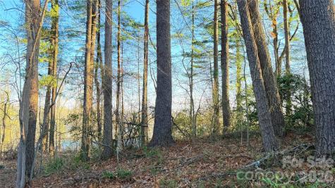 00 Toms Park Circle Hendersonville NC 28792