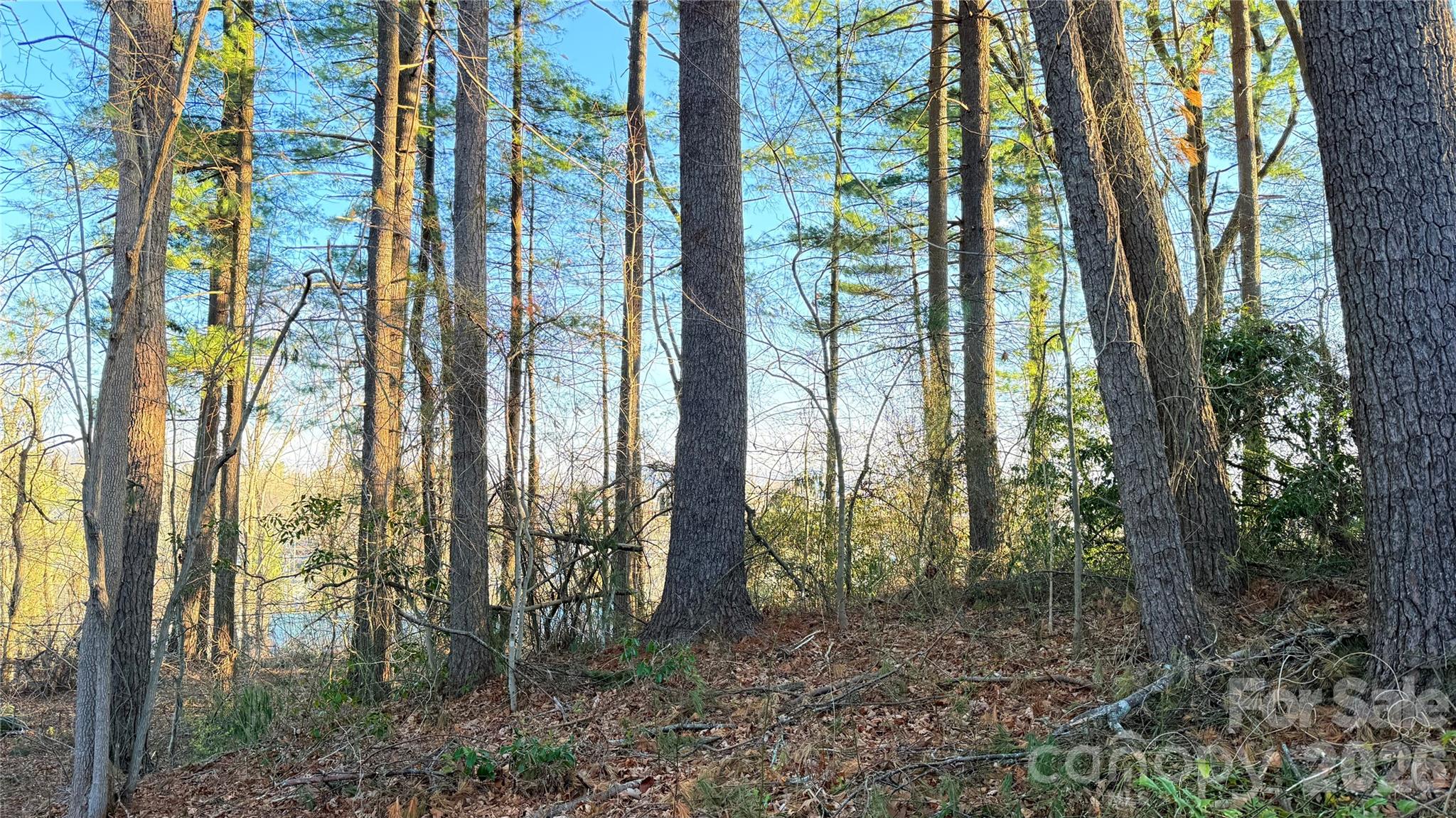 00 Toms Park Circle Hendersonville NC 28792