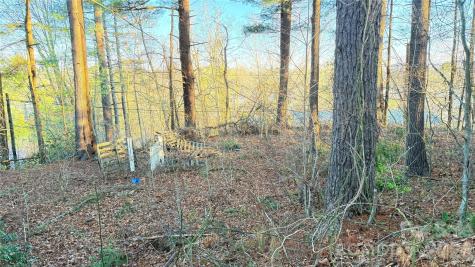 00 Toms Park Circle Hendersonville NC 28792