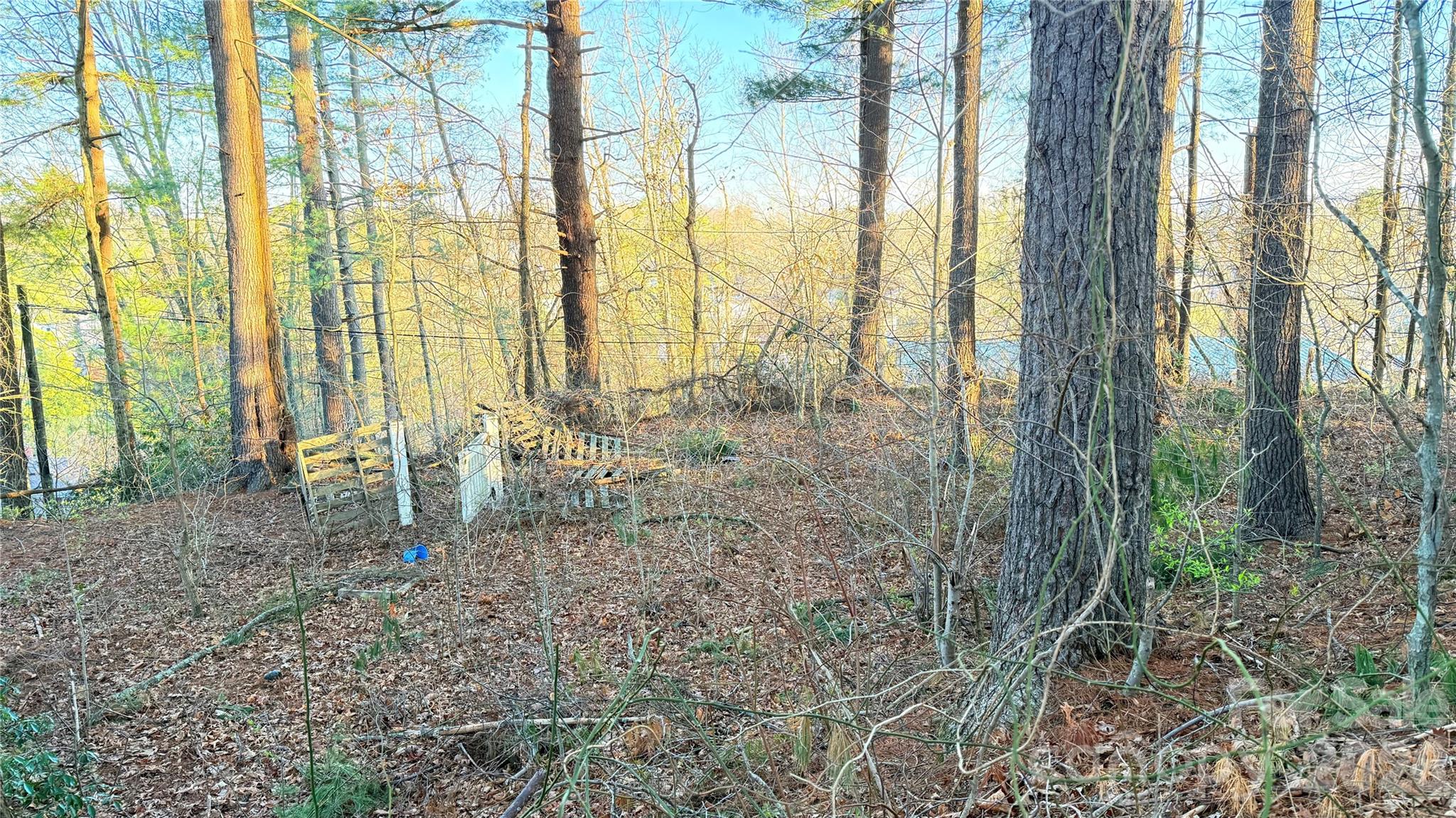 00 Toms Park Circle Hendersonville NC 28792