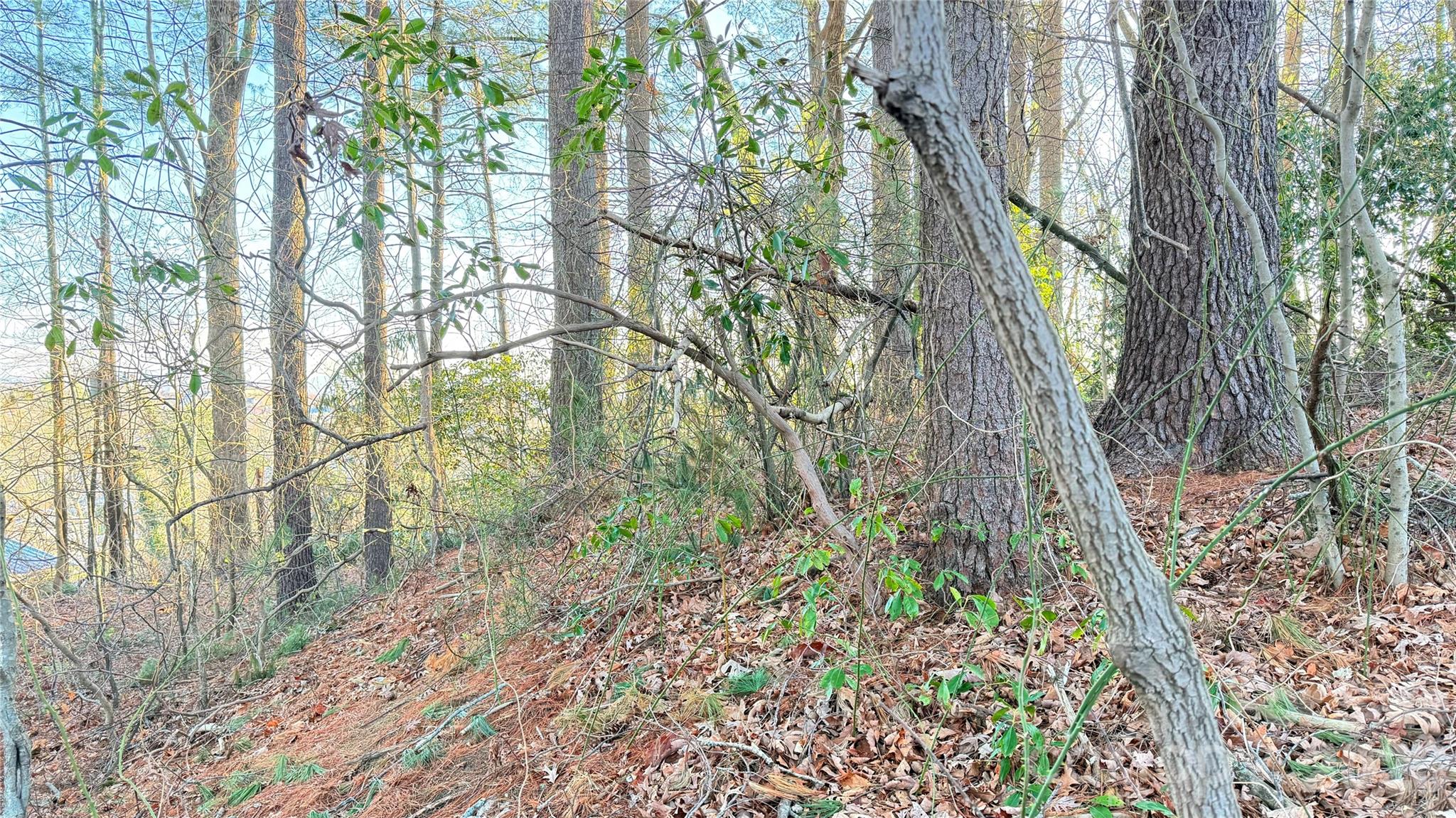 00 Toms Park Circle Hendersonville NC 28792