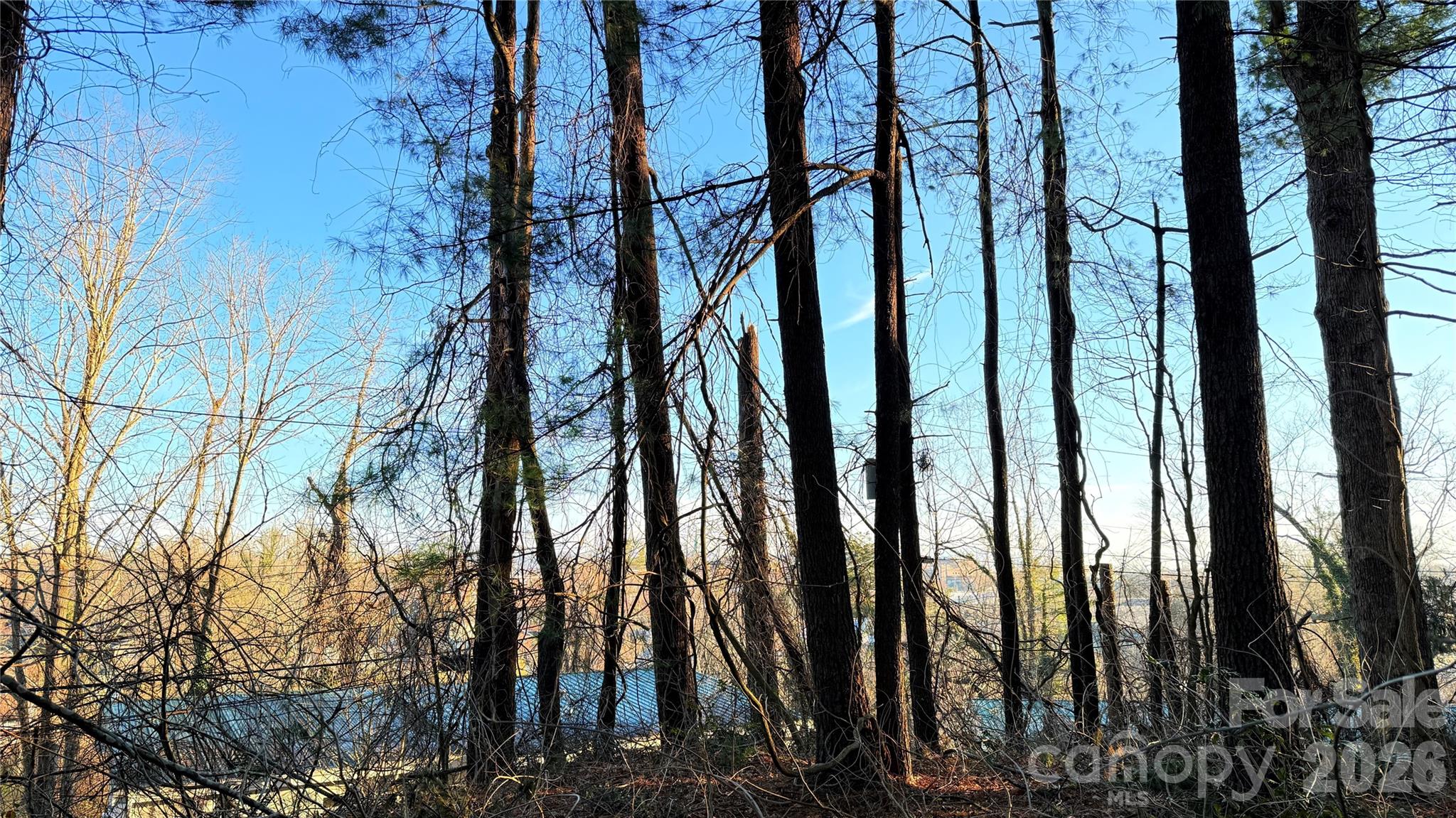 00 Toms Park Circle Hendersonville NC 28792