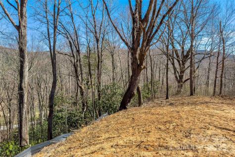 Lot# 158 Hunnicut Mountain Road Marion NC 28752