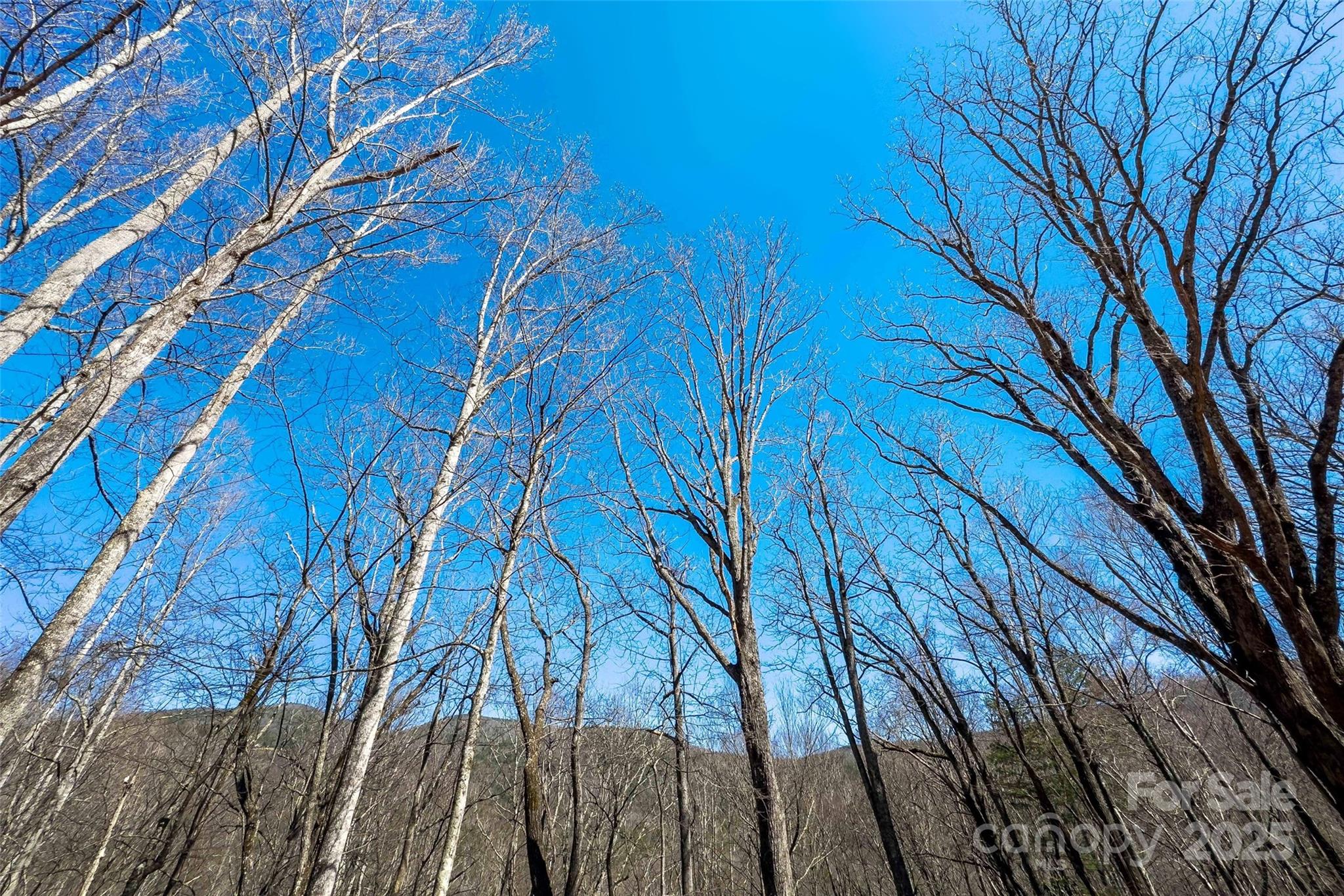 Lot# 158 Hunnicut Mountain Road Marion NC 28752