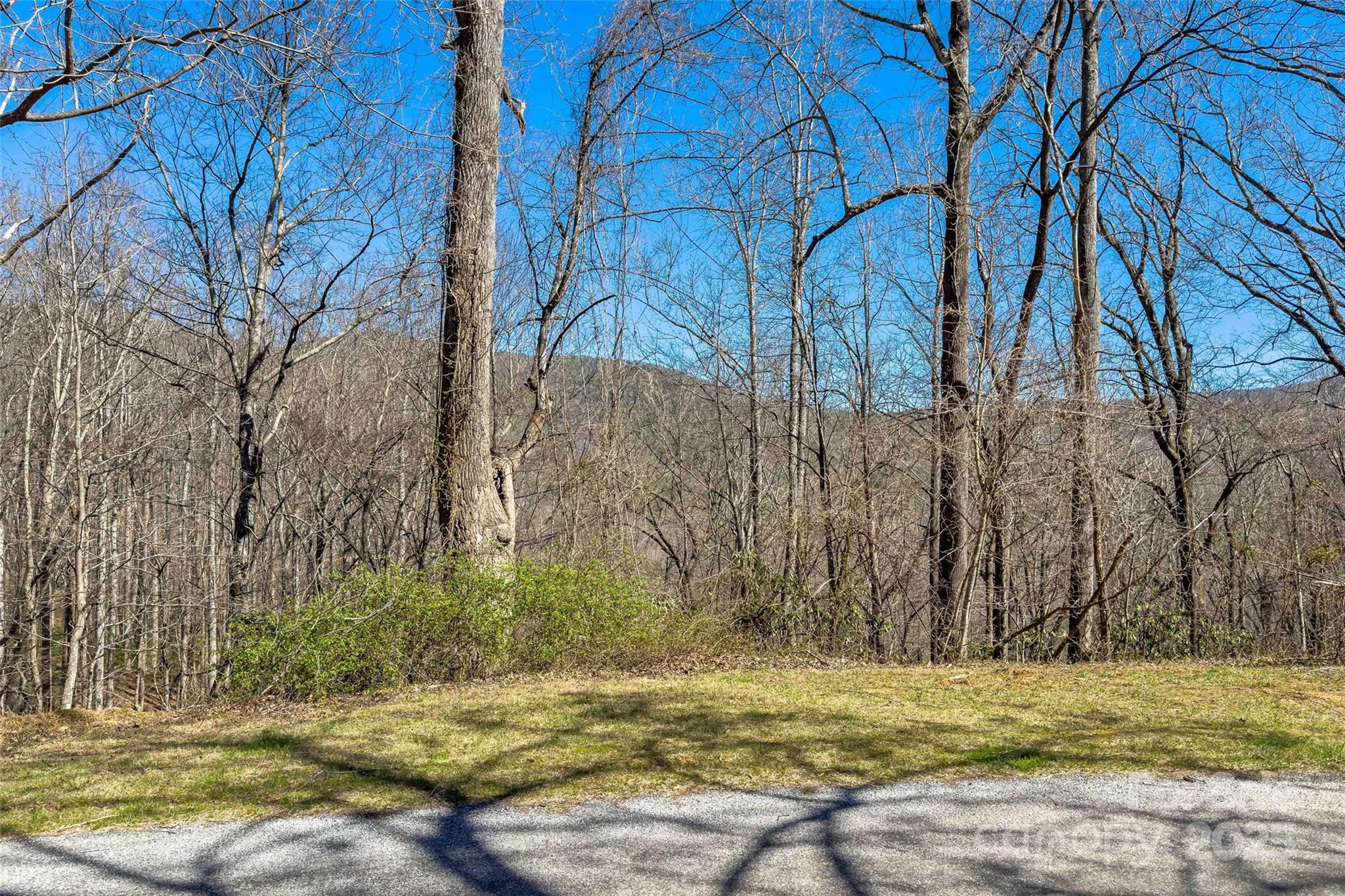 Lot# 158 Hunnicut Mountain Road Marion NC 28752