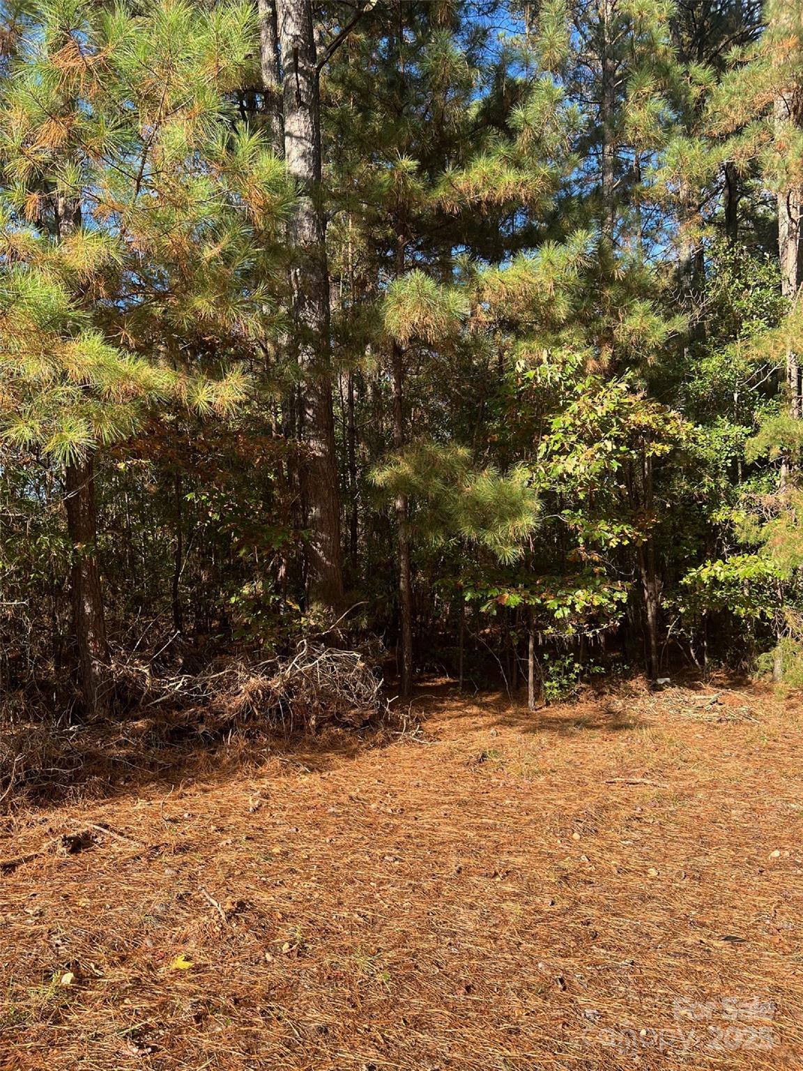 00 Horton Road Wadesboro NC 28170