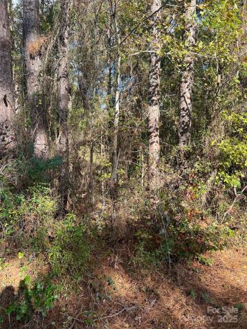 00 Horton Road Wadesboro NC 28170