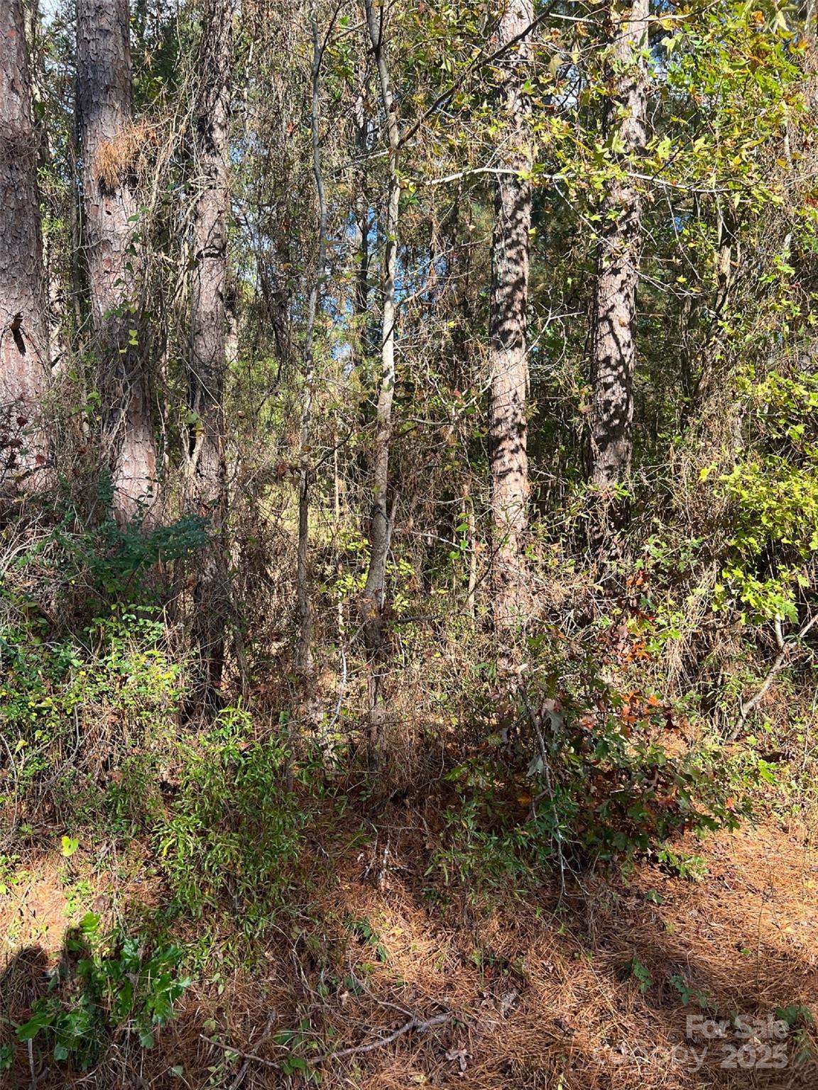 00 Horton Road Wadesboro NC 28170