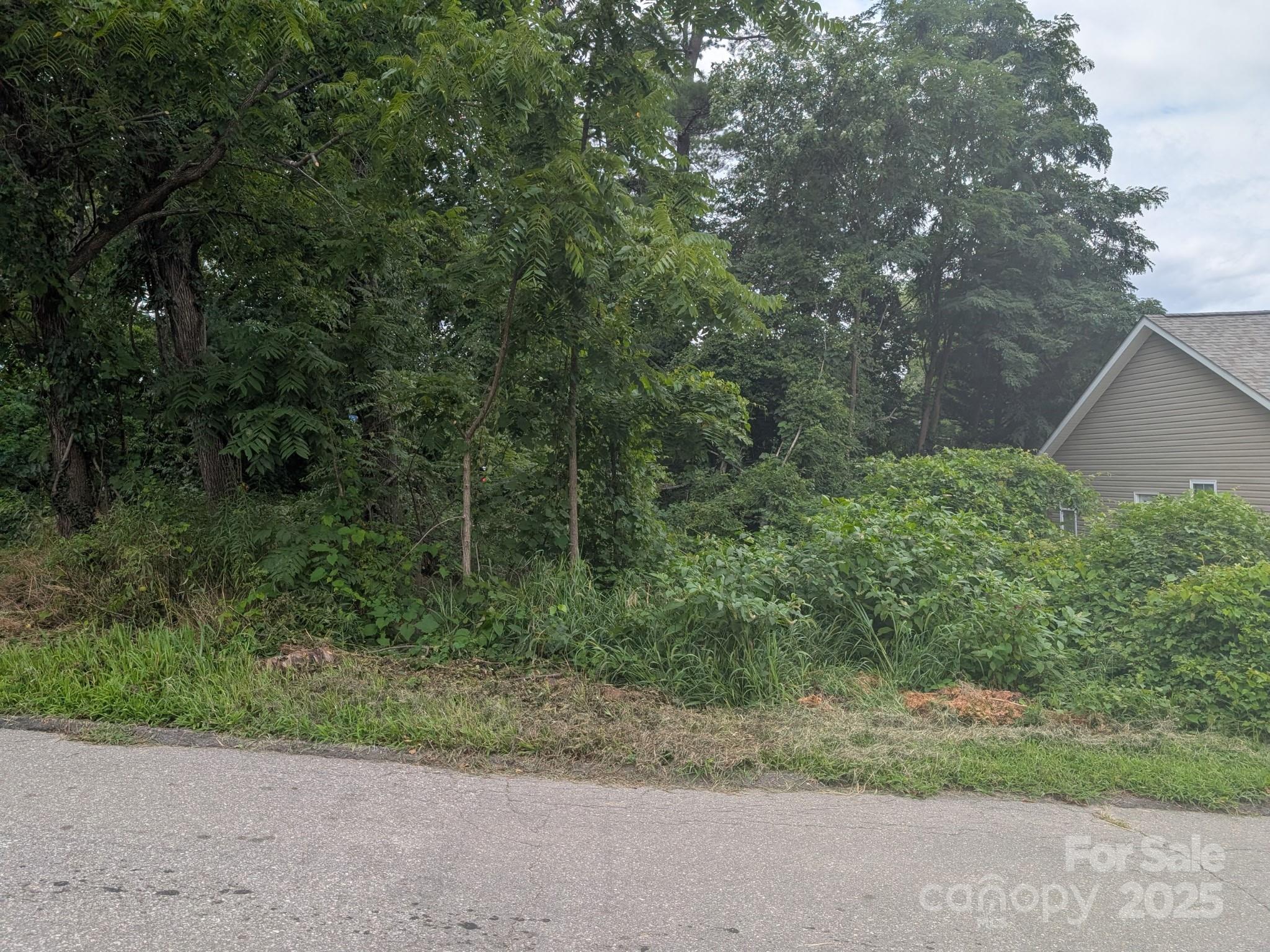 0000 Booker Street Asheville NC 28803