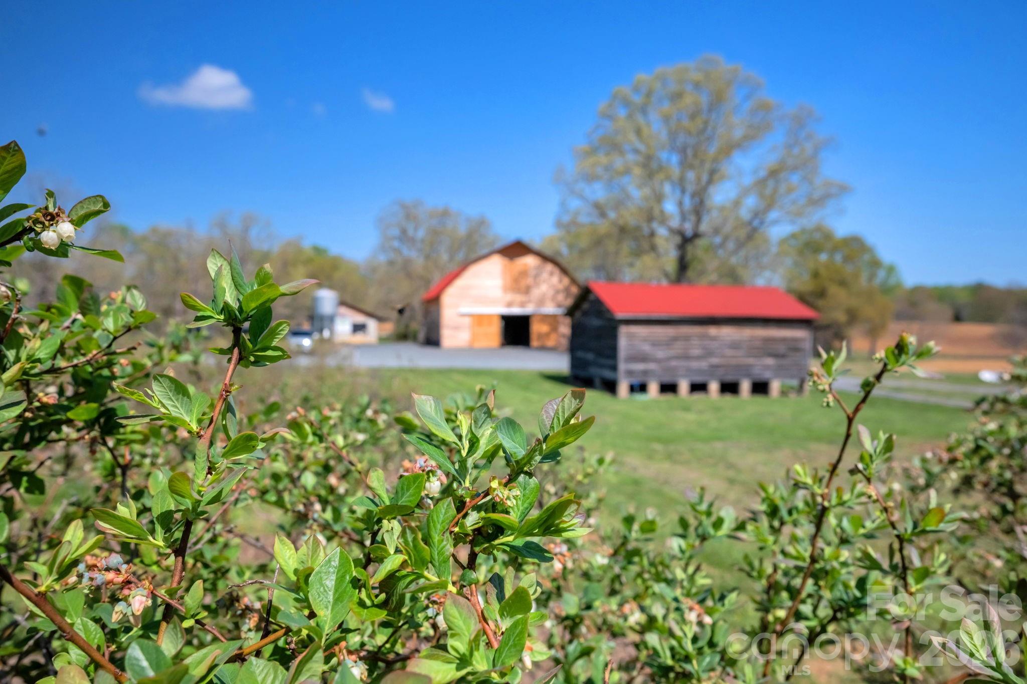 32286 Laton Road Albemarle NC 28001