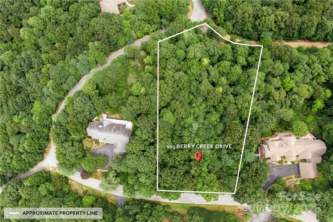 103 Berry Creek Drive Flat Rock NC 28731