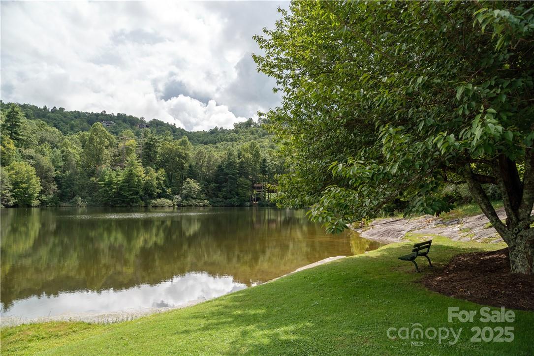 103 Berry Creek Drive Flat Rock NC 28731