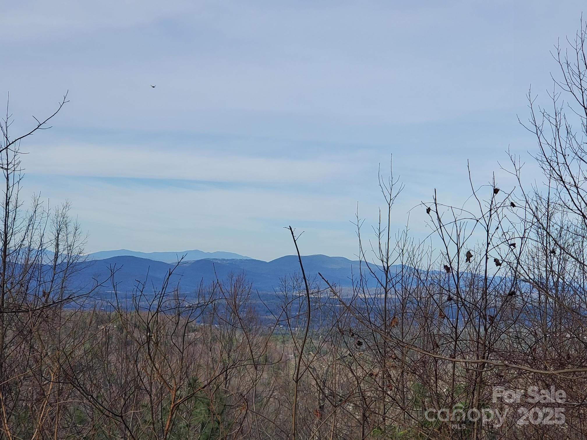 103 Berry Creek Drive Flat Rock NC 28731