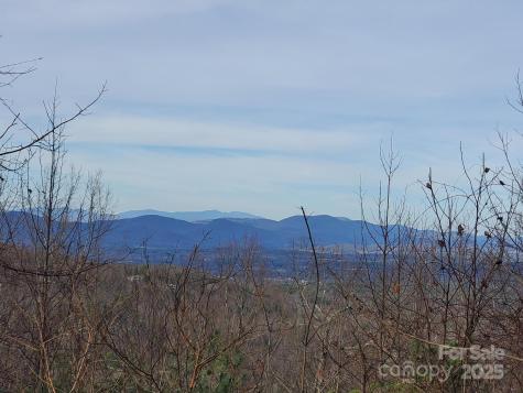 103 Berry Creek Drive Flat Rock NC 28731