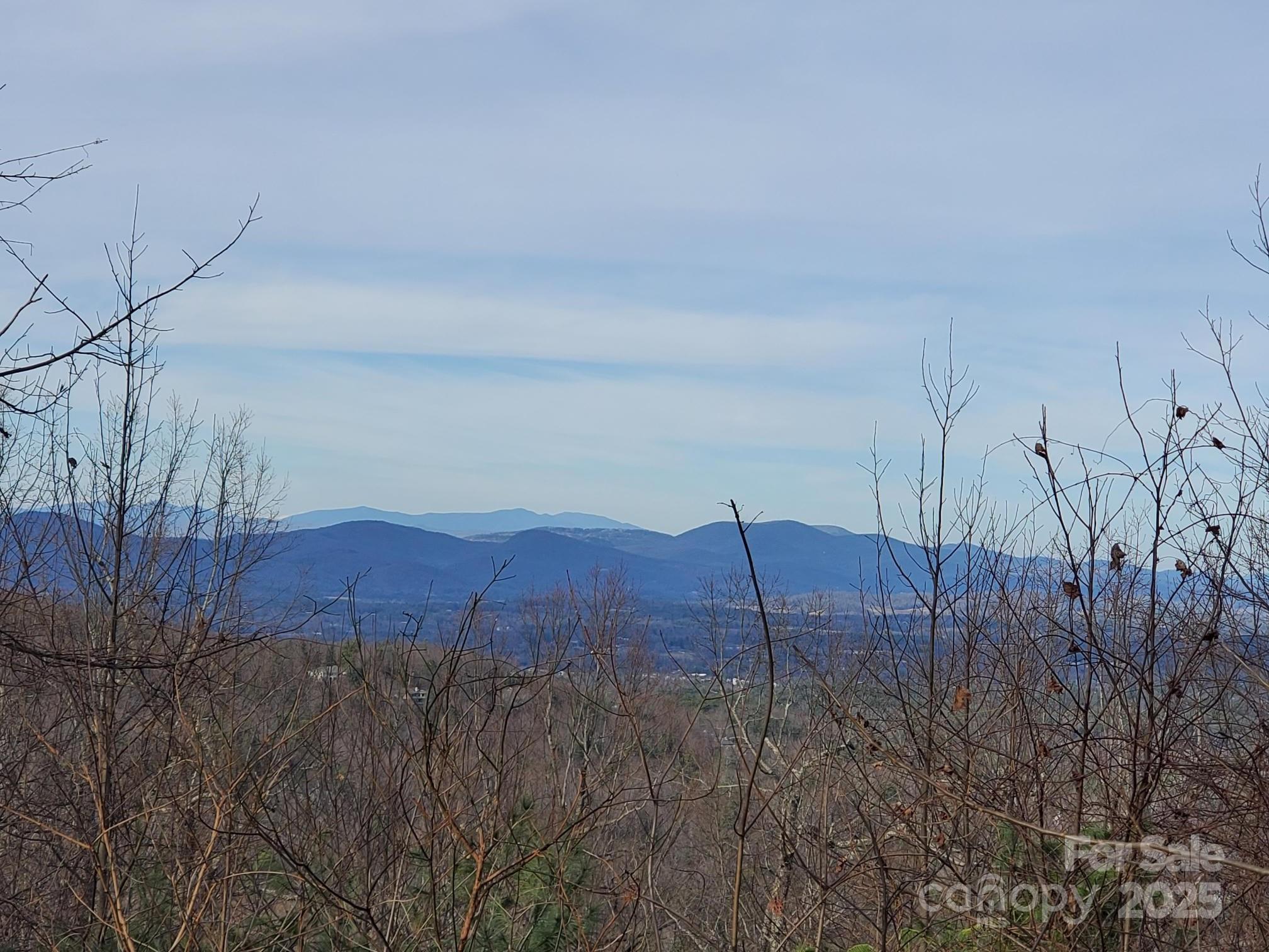 103 Berry Creek Drive Flat Rock NC 28731