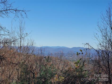 103 Berry Creek Drive Flat Rock NC 28731