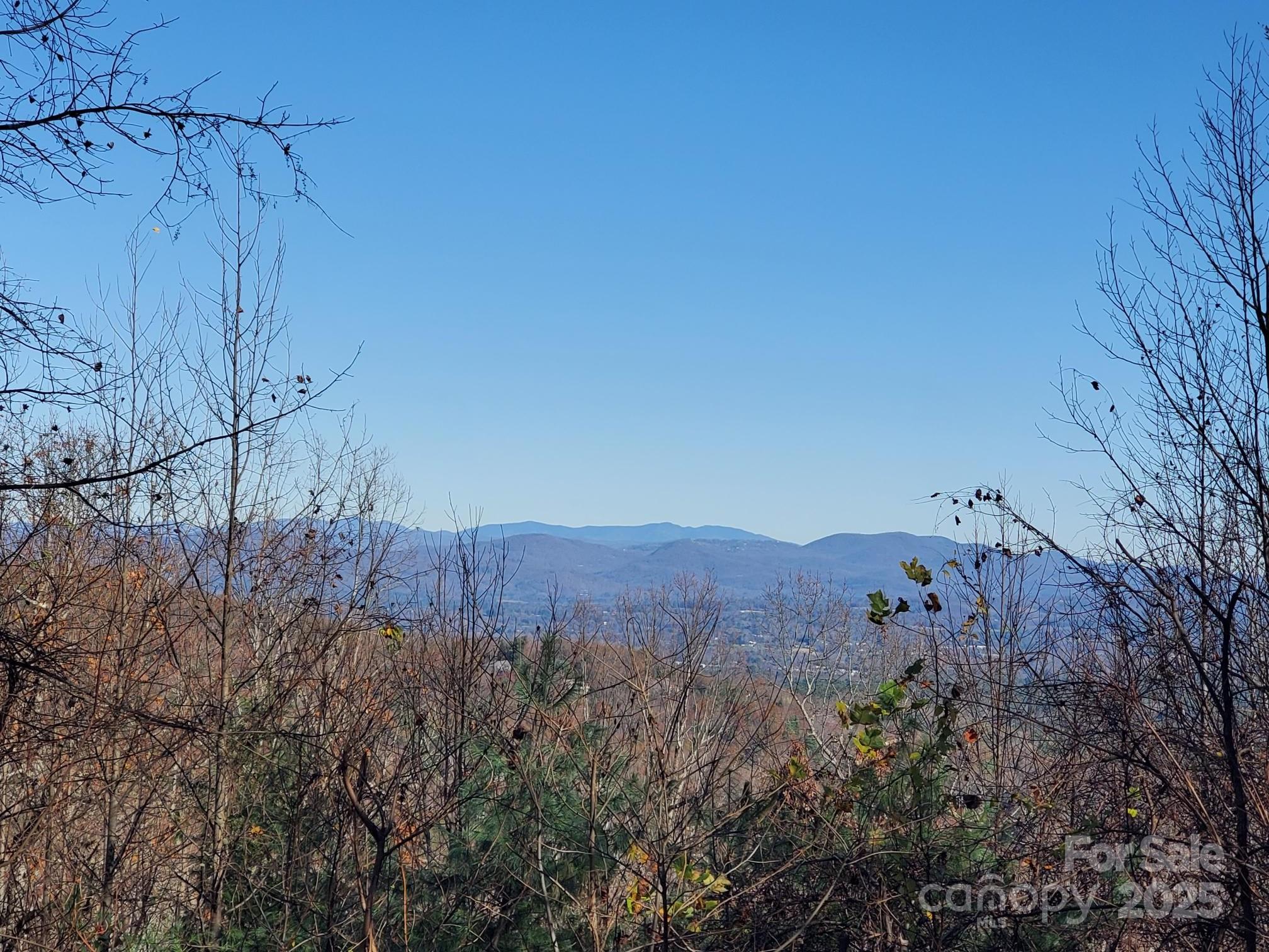 103 Berry Creek Drive Flat Rock NC 28731