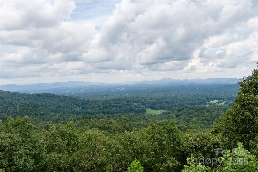 103 Berry Creek Drive Flat Rock NC 28731