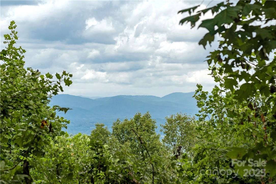 103 Berry Creek Drive Flat Rock NC 28731