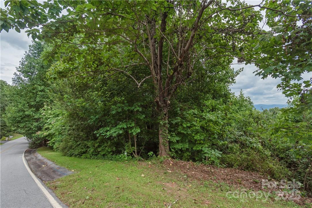 103 Berry Creek Drive Flat Rock NC 28731