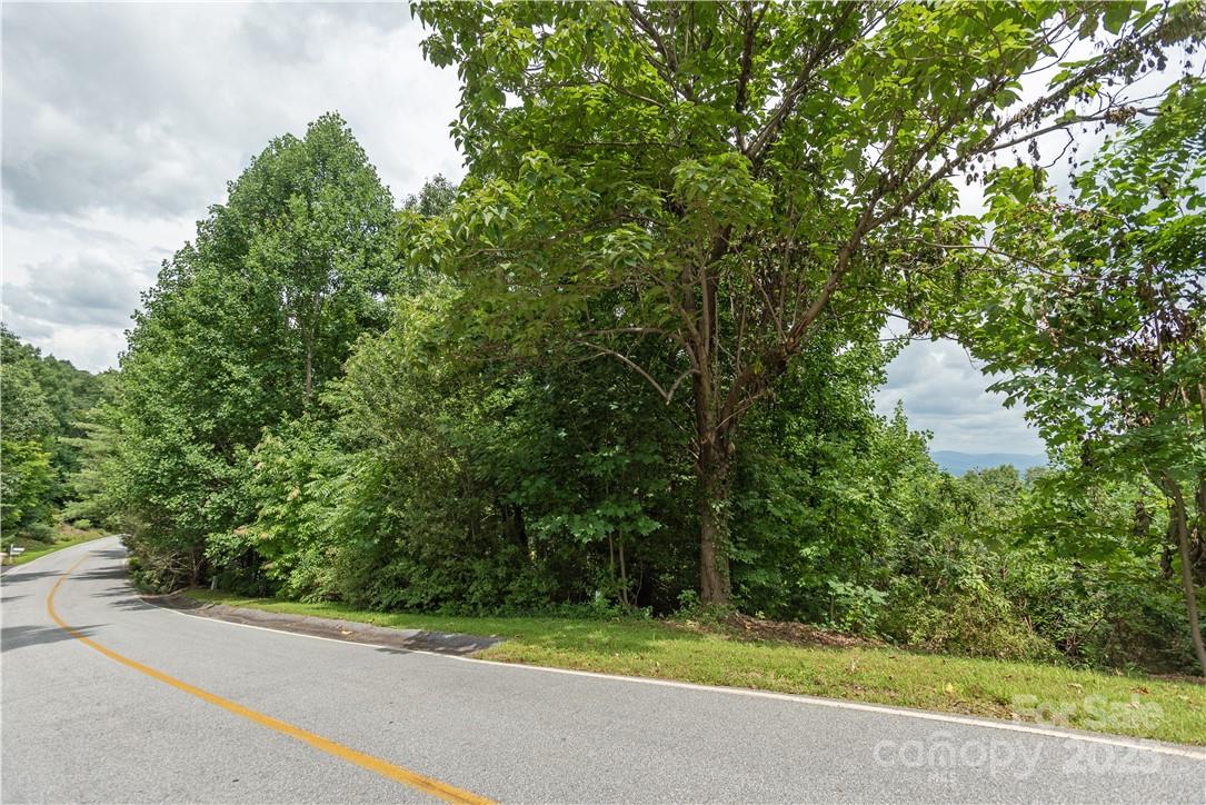 103 Berry Creek Drive Flat Rock NC 28731