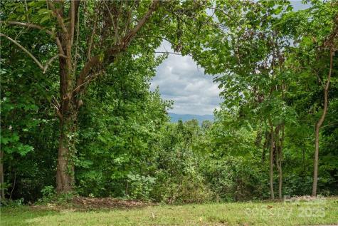 103 Berry Creek Drive Flat Rock NC 28731