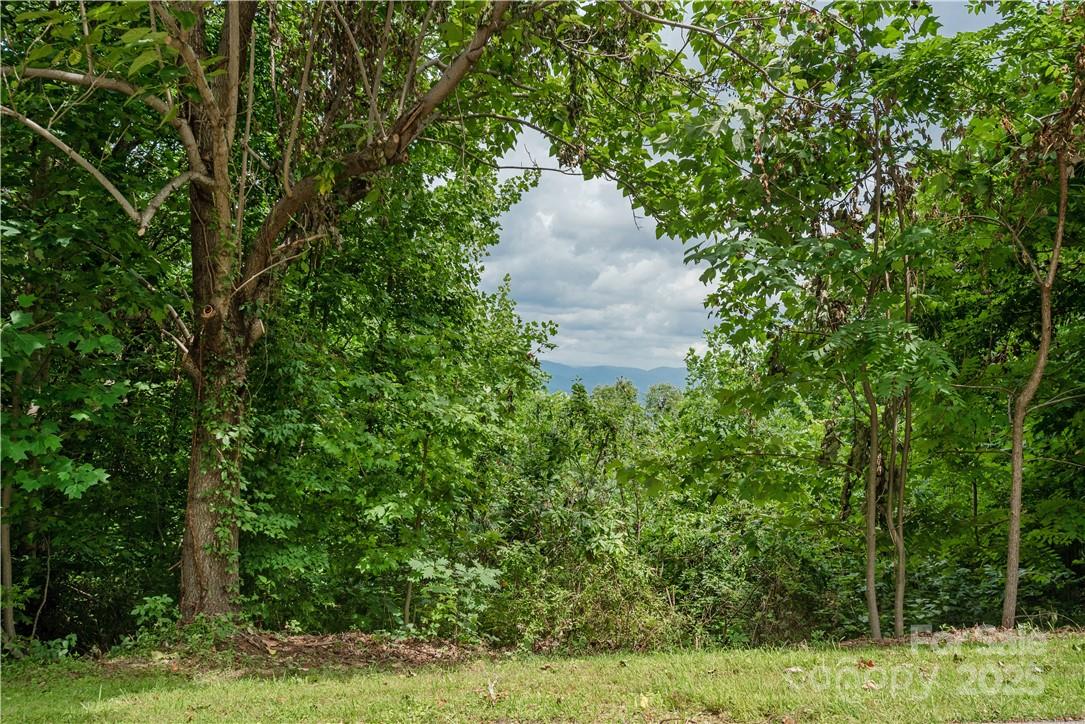 103 Berry Creek Drive Flat Rock NC 28731