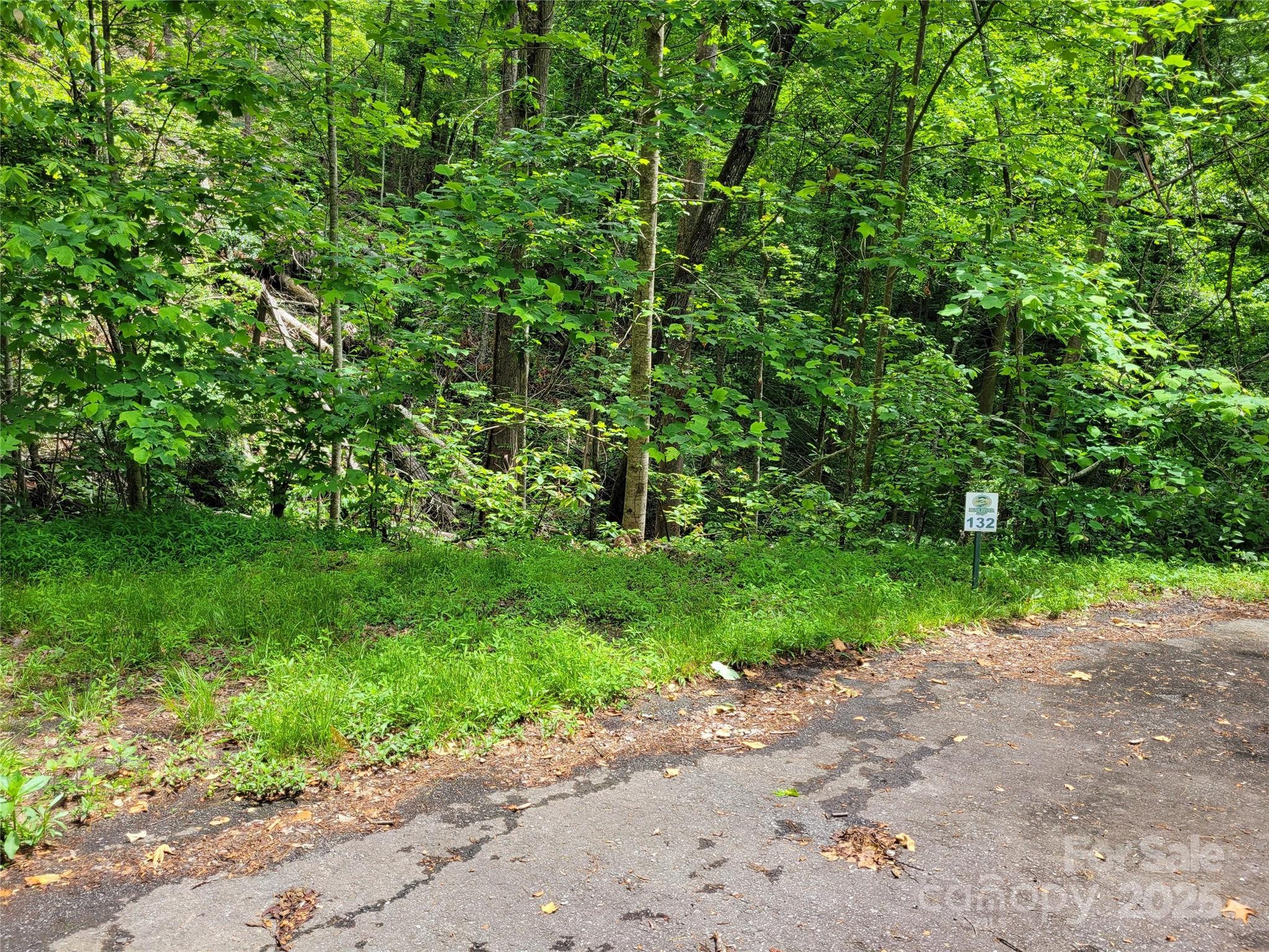 Tbd Bear River Lodge Trail Marshall NC 28753