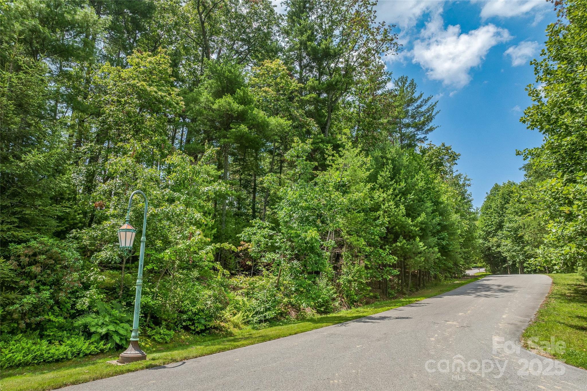 99999 Cedar Hill Drive Biltmore Forest NC 28803