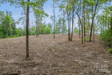 99999 Cedar Hill Drive Biltmore Forest NC 28803