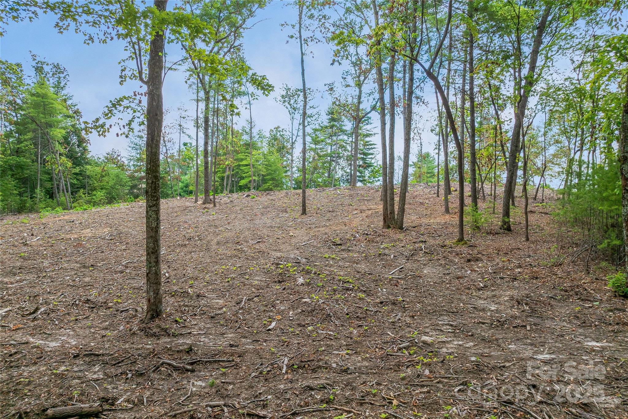 99999 Cedar Hill Drive Biltmore Forest NC 28803