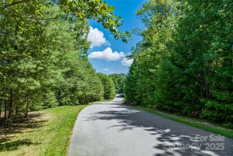 99999 Cedar Hill Drive Biltmore Forest NC 28803