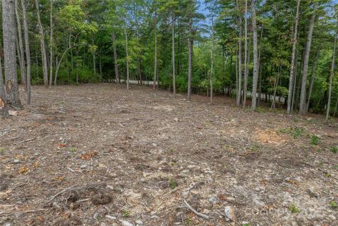 99999 Cedar Hill Drive Biltmore Forest NC 28803
